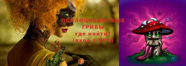 спиды Алексеевка